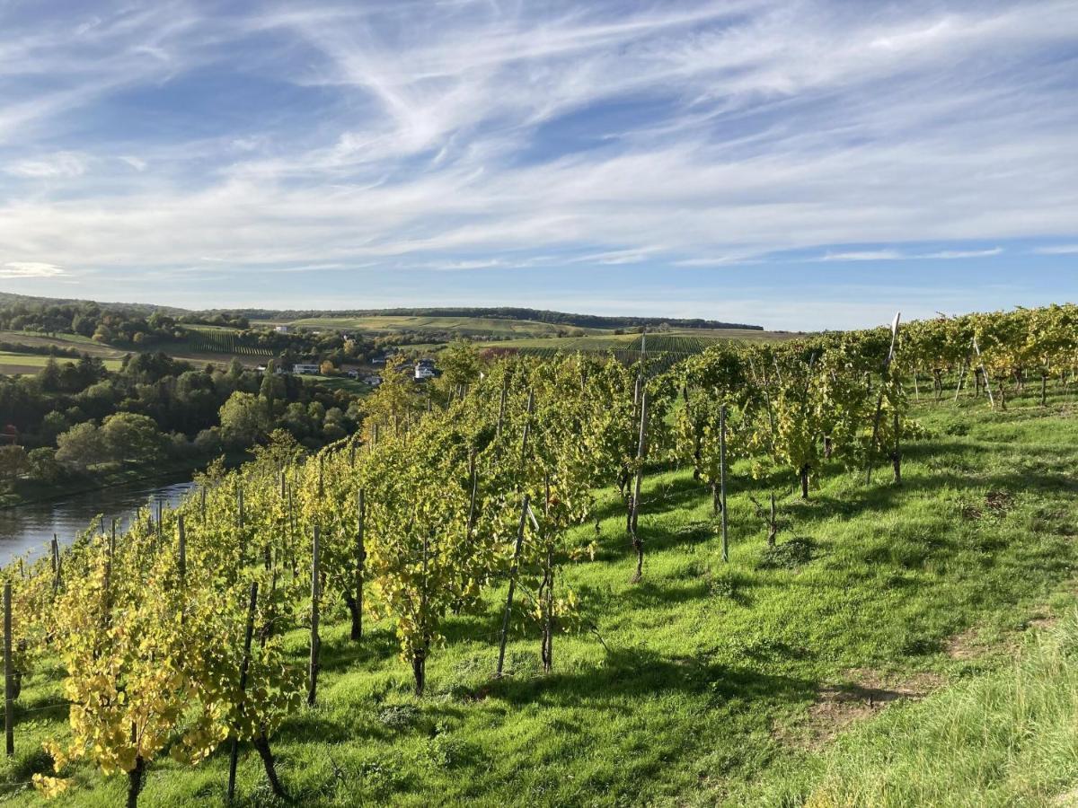 Lovely Holiday Home In Veldenz Near Mosel River Buitenkant foto